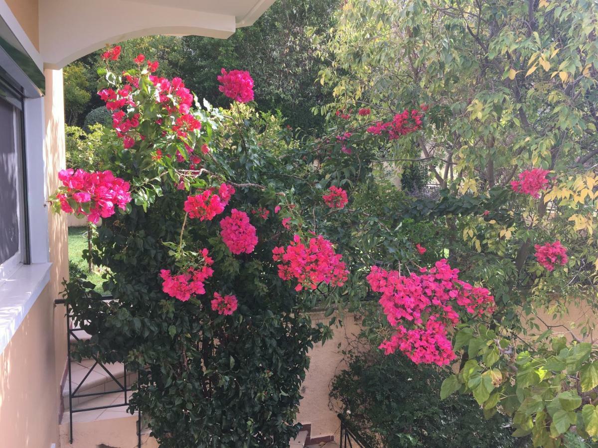 Villa Tzitzifies Kourouklata Dış mekan fotoğraf